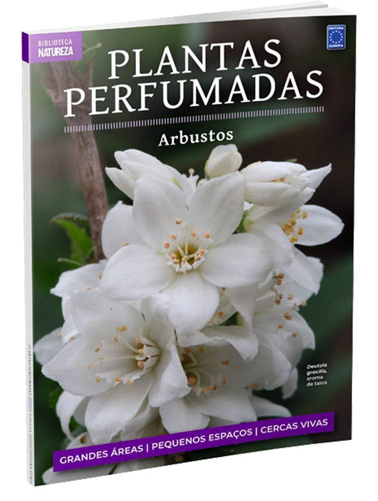 Plantas perfumadas - arbustos