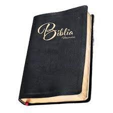 Bíblia Missionaria
