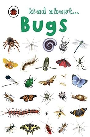Mad About Bugs Deborah Murrell