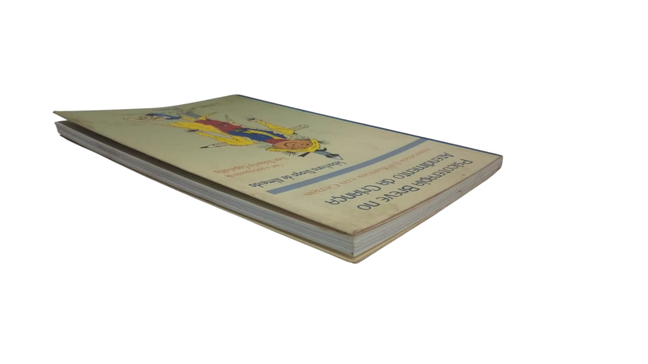 Psicoterapia Breve no Atendimento da Criança Sebastiana Diogo de Almeida - Imagem 3