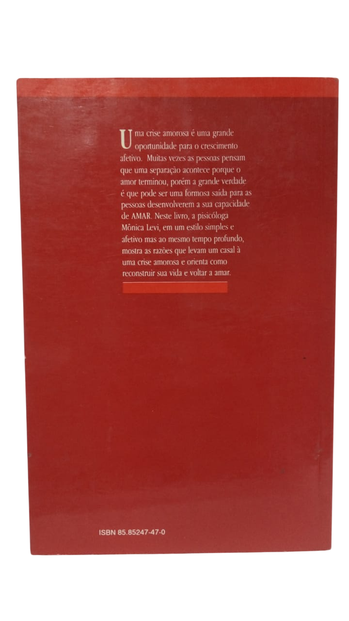 Um Novo Começo Monica Levi - Imagem 2