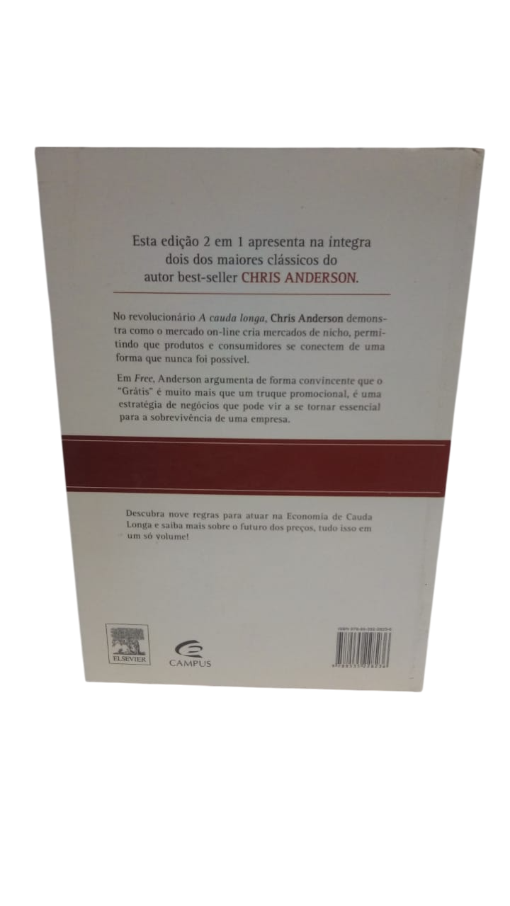 A cauda longa Chris Anderson - Imagem 2