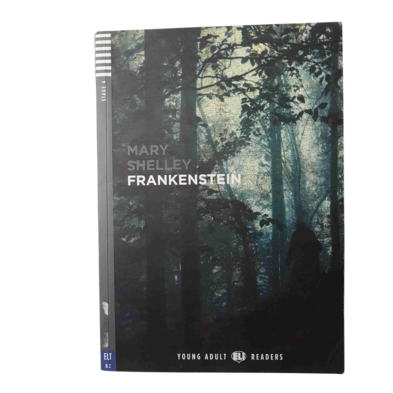 Frankenstein Mary Shelley