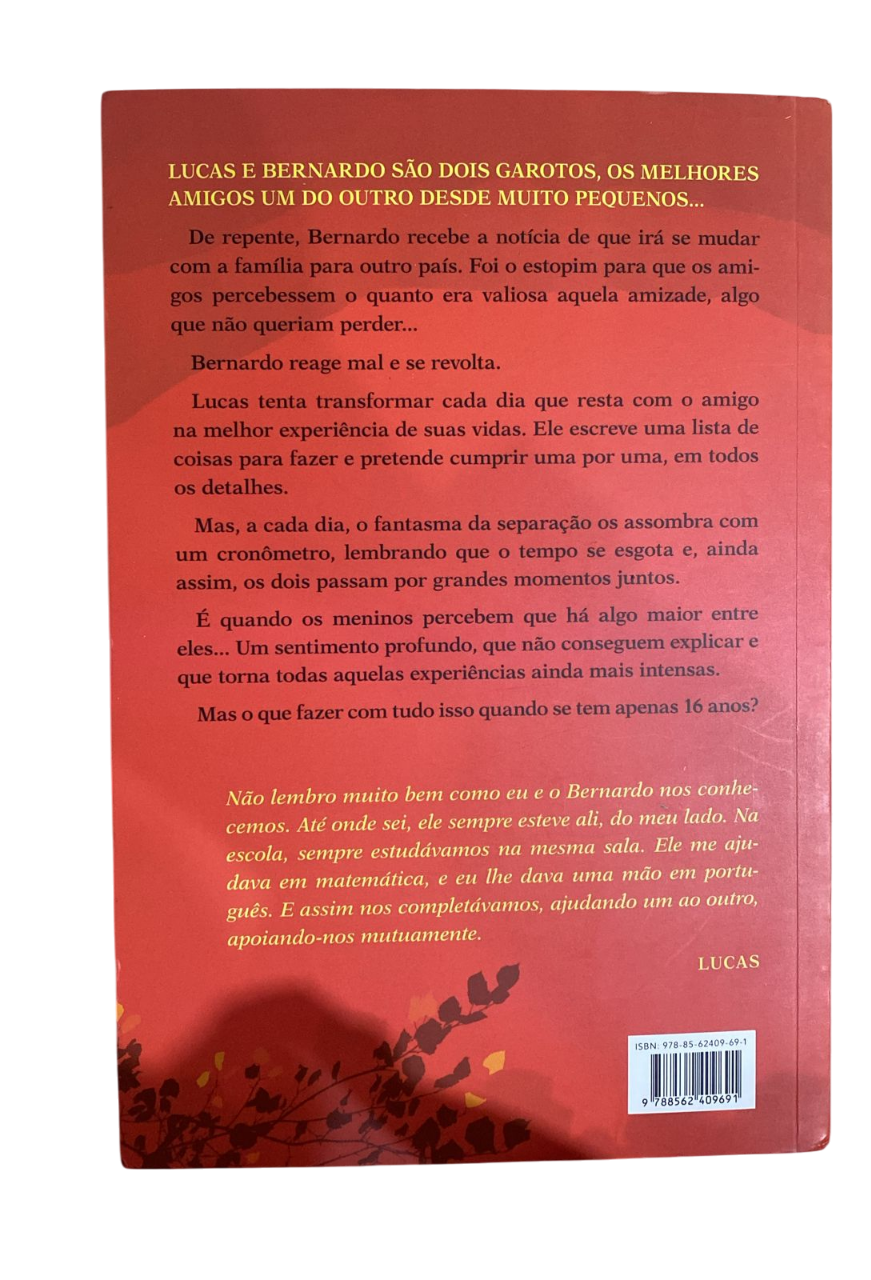 1+1 A Matemática do amor Augusto Alvarenga e Vinicius Grossos - Imagem 2