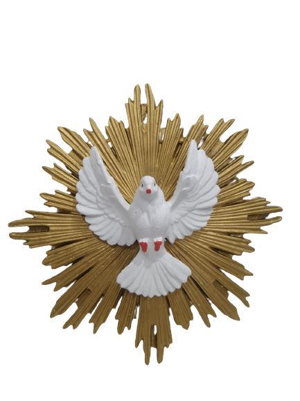 Divino Espírito Santo Para Parede Borracha 19cm