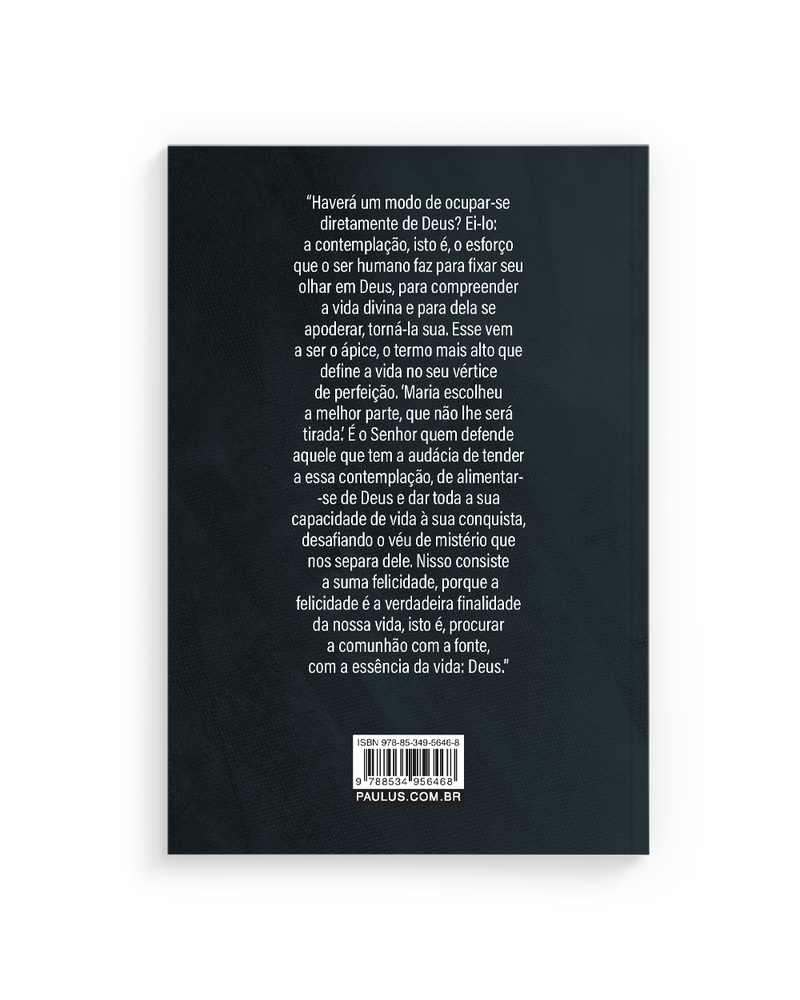 Caminho de Perfeição Santa Teresa de Jesus - Imagem 2