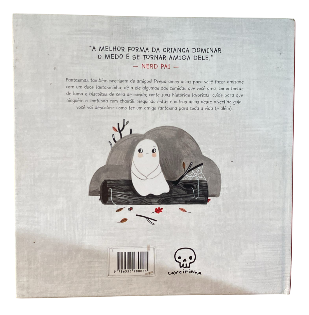 Como ter um Amigo Fantasma Rebecca Green - Imagem 2