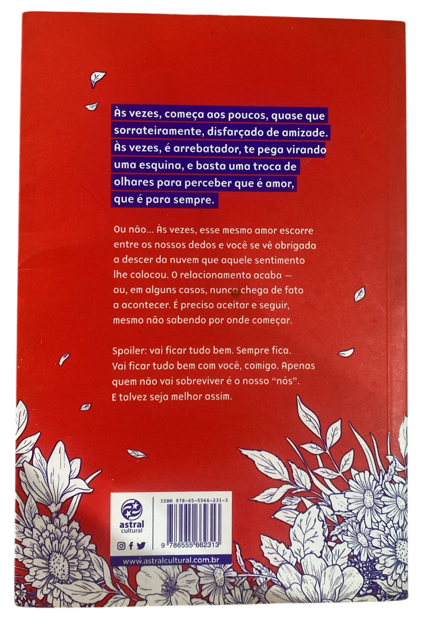 Amores que Deixei Escapar Felipe Rocha - Imagem 2