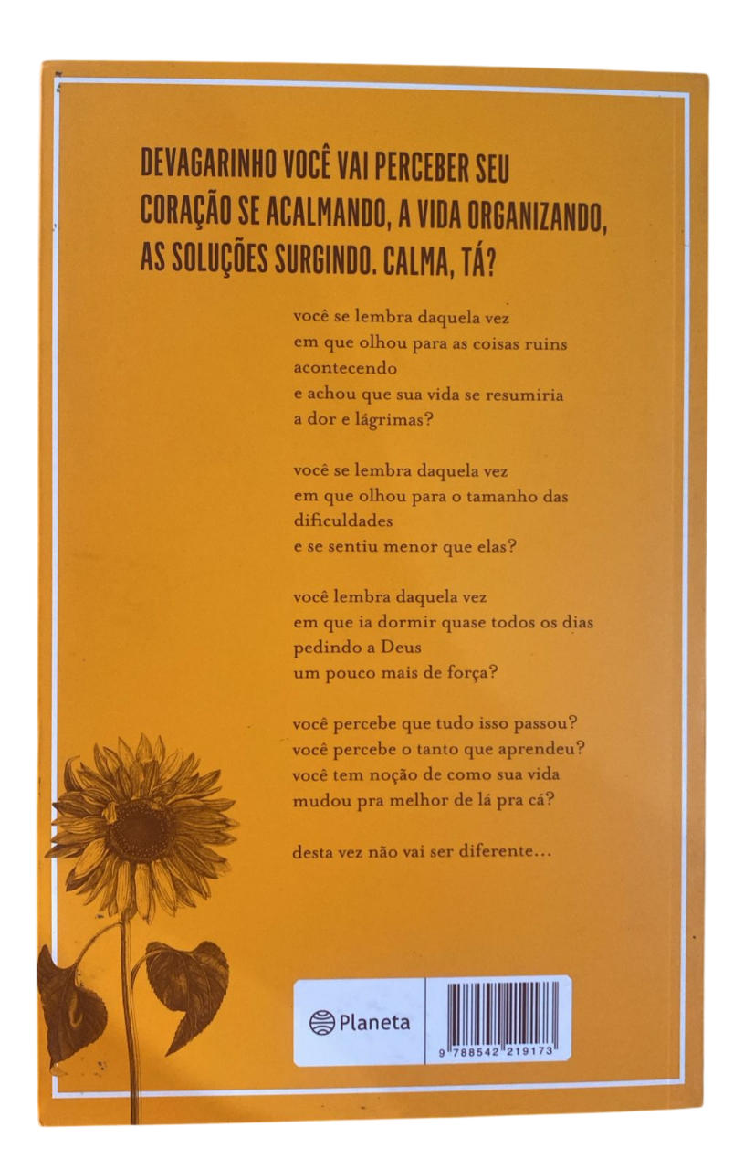 Pra você que sente demais Victor Fernandes - Imagem 2