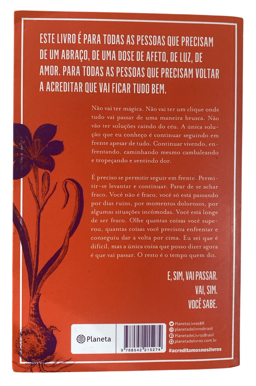 Pra você que teve um dia ruim Victor Fernandes - Imagem 2