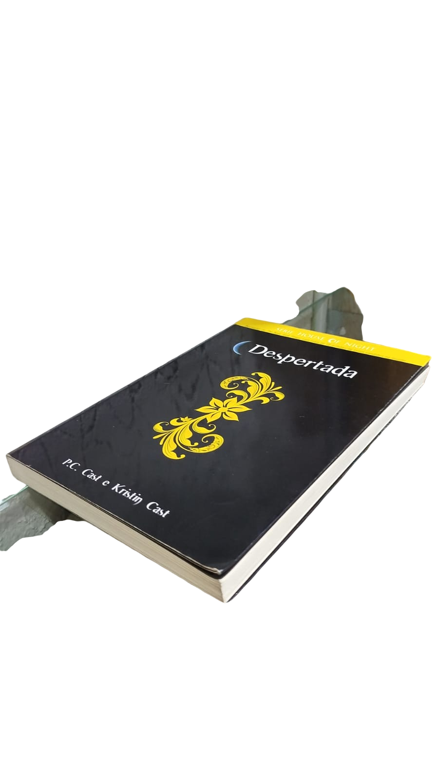 Despertada - Volume 10 P. C. Cast - Imagem 3