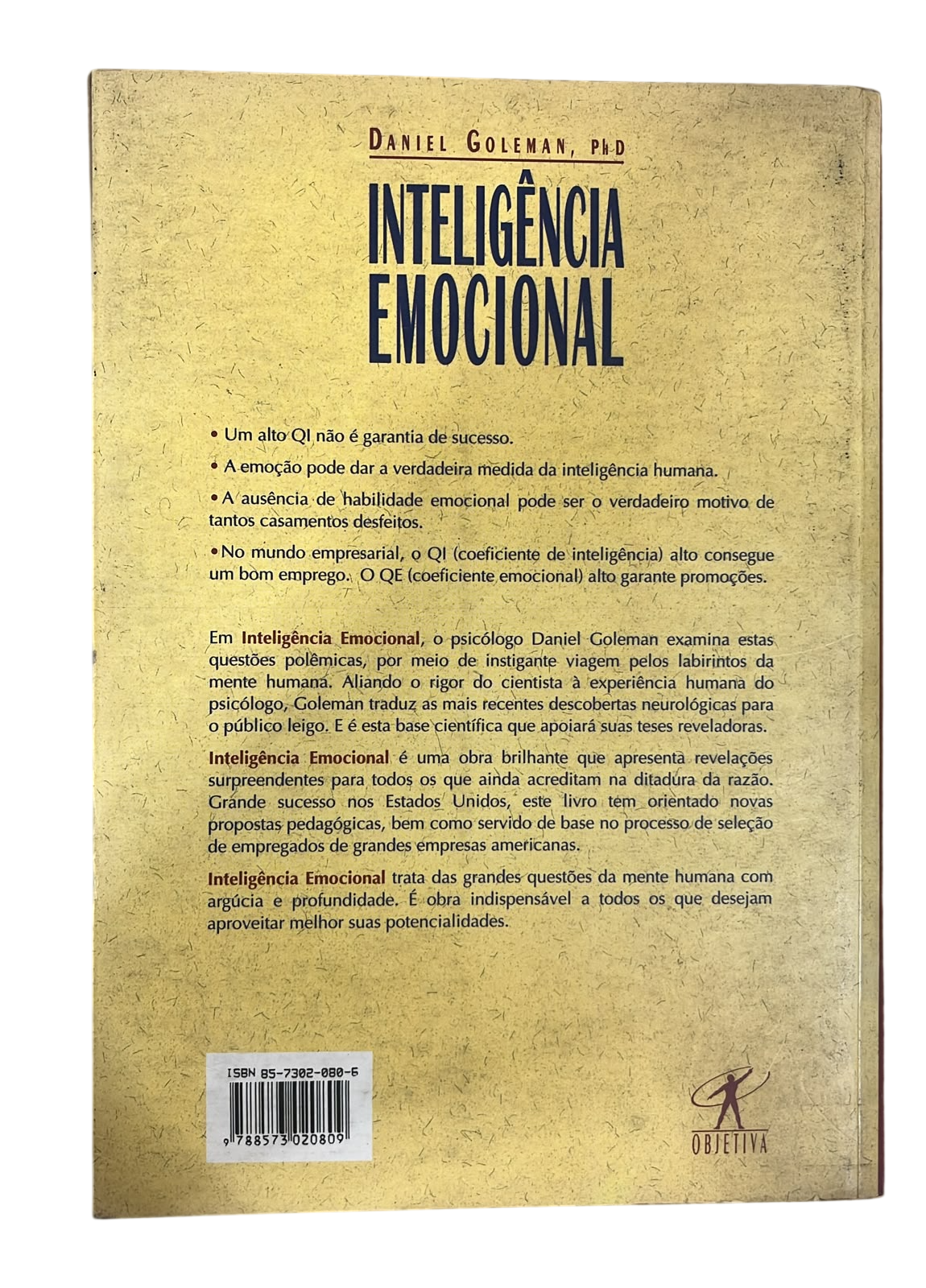 Inteligência Emocional Daniel Goleman - Imagem 2