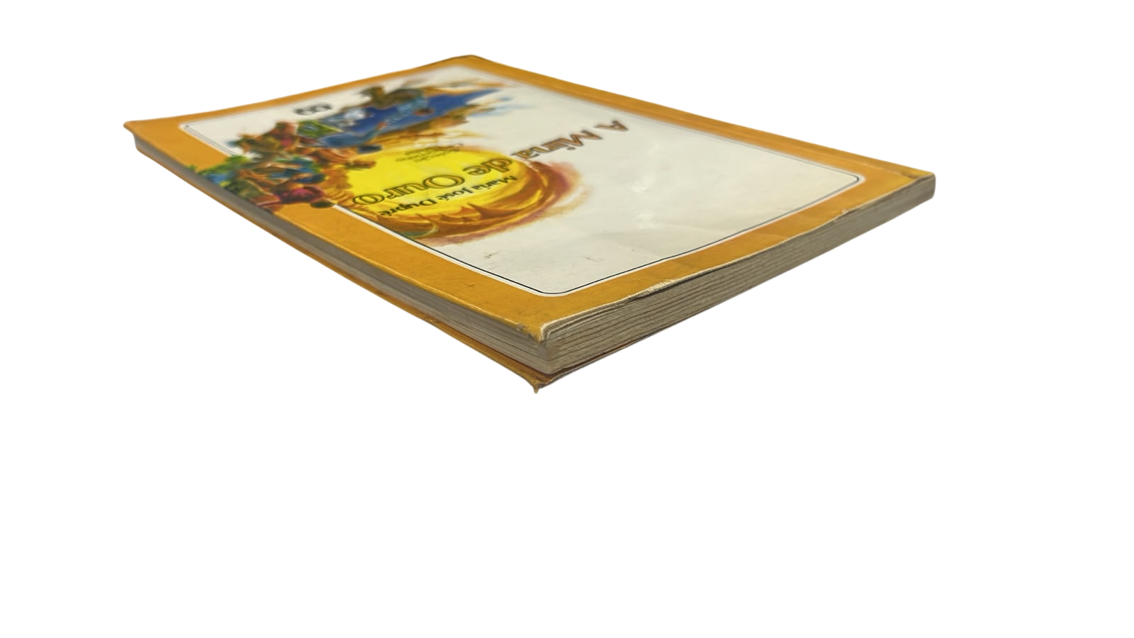 A Mina de Ouro Maria Jose Dupre - Imagem 4